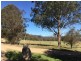 Tenterfield NSW 2372