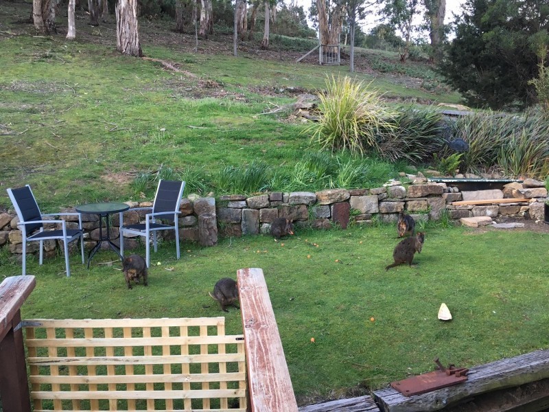 37 Louden street, South Hobart TAS 7004