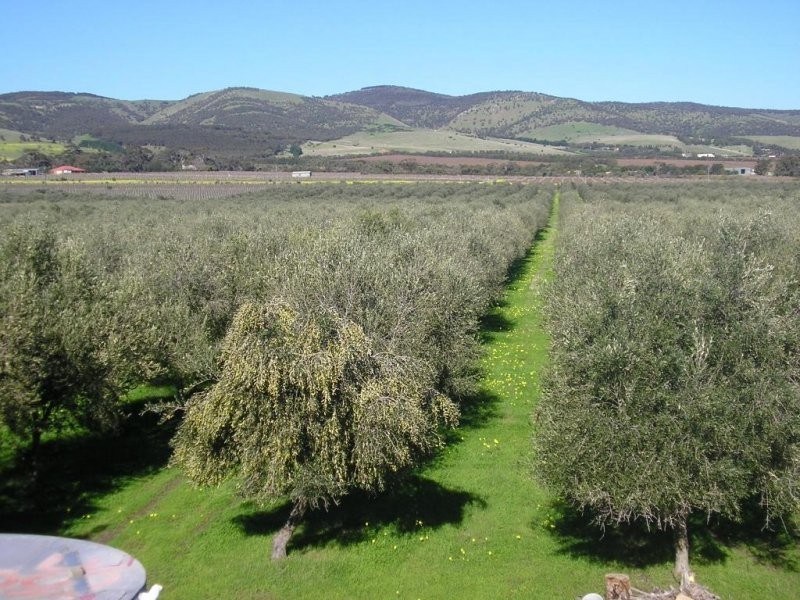 194 Hahn Road, Sellicks Hill SA 5174