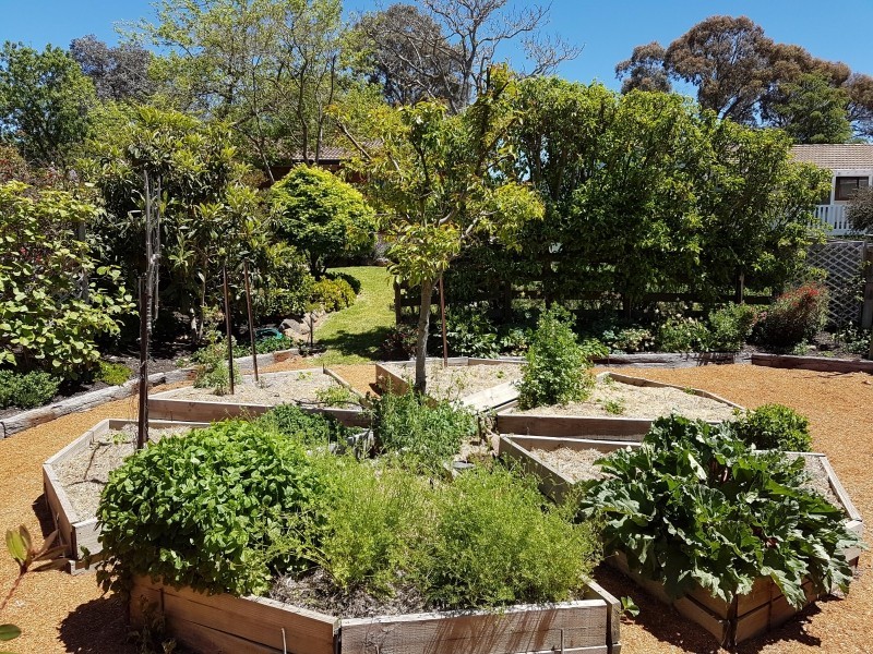 9 Newmarch Place, Macgregor ACT 2615