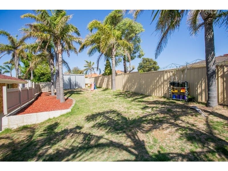 20 Daintree court, Merriwa WA 6030
