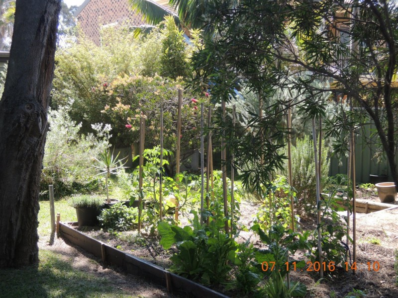 74 Prince Edward Avenue, Culburra Beach NSW 2540