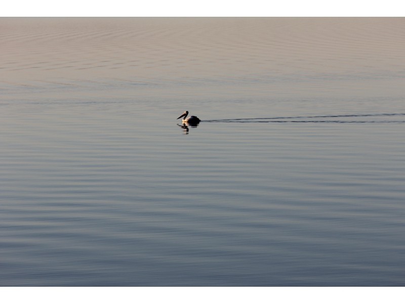 42 Loralyn Avenue, St Georges Basin NSW 2540