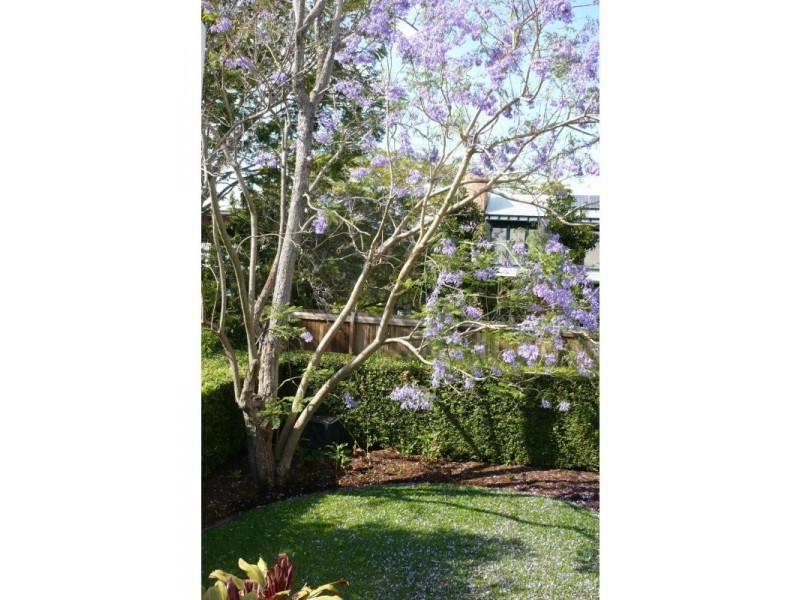36 Forbes Street, West End QLD 4101