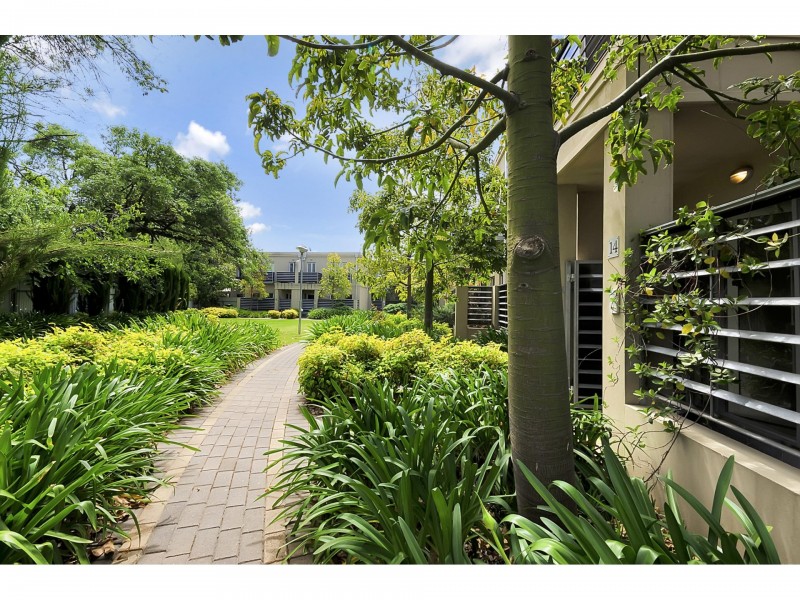 14 Lyons Parade, Forestville SA 5035