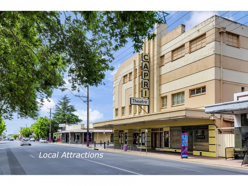 14 Lyons Parade, Forestville SA 5035