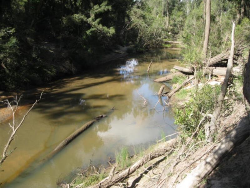 107 Whiteman Creek Road, Whiteman Creek NSW 2460