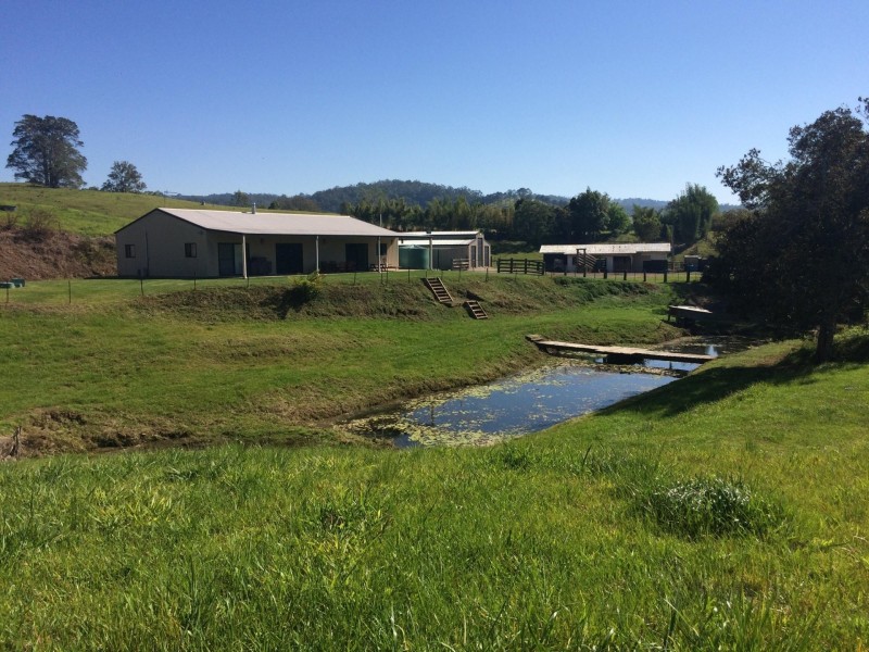 249 River Road, Peachester QLD 4519