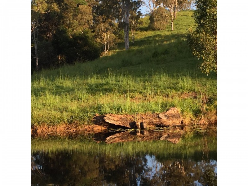 249 River Road, Peachester QLD 4519