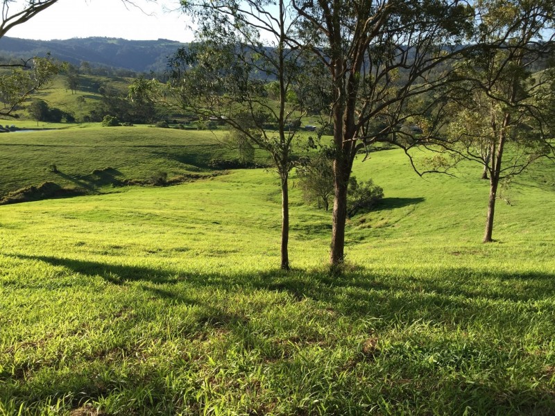 249 River Road, Peachester QLD 4519