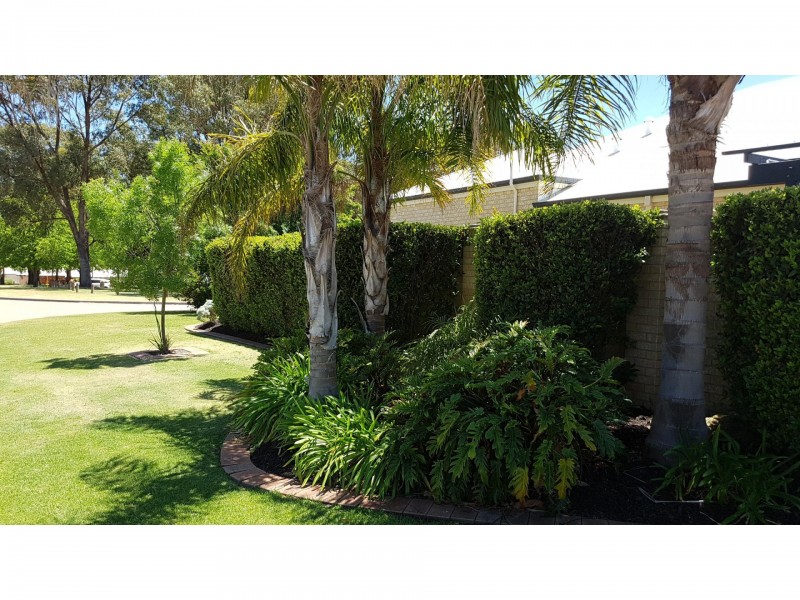 2 Delaporte Turn, Baldivis WA 6171