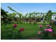 228 Wilbetree Road, Mudgee NSW 2850