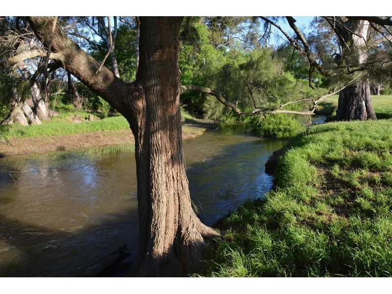 228 Wilbetree Road, Mudgee NSW 2850