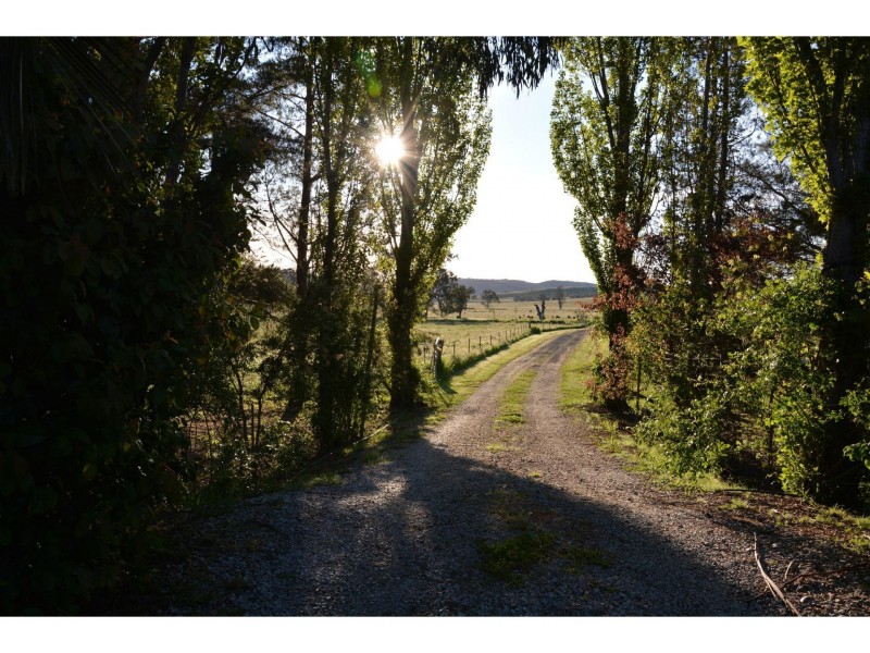 228 Wilbetree Road, Mudgee NSW 2850