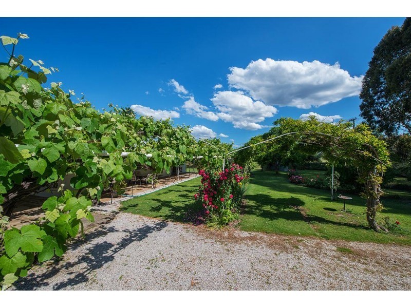 228 Wilbetree Road, Mudgee NSW 2850
