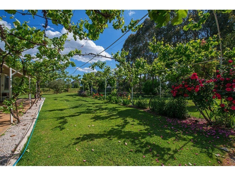 228 Wilbetree Road, Mudgee NSW 2850