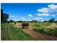 228 Wilbetree Road, Mudgee NSW 2850