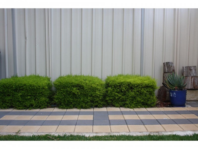 19 Coventry Street, Mawson Lakes SA 5095