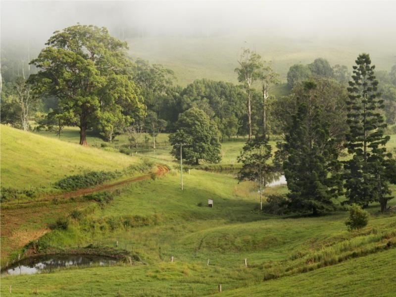 68 Kennaicle Creek Road, Missabotti NSW 2449