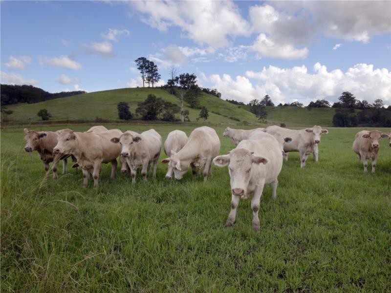 68 Kennaicle Creek Road, Missabotti NSW 2449