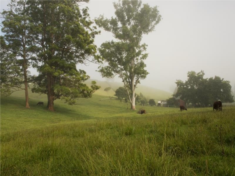 68 Kennaicle Creek Road, Missabotti NSW 2449