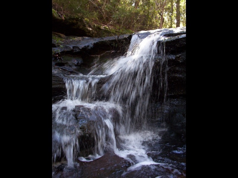 462 Ashby-Tullymorgan Road, Ashby NSW 2463