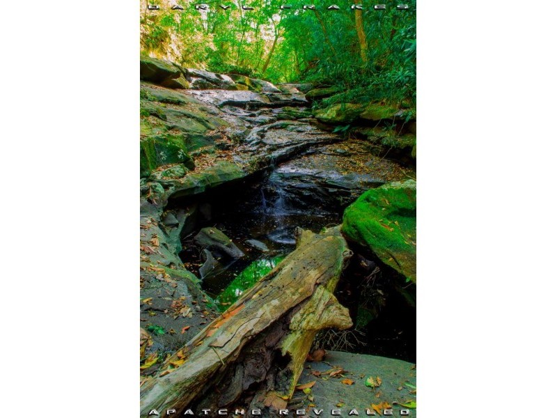 462 Ashby-Tullymorgan Road, Ashby NSW 2463