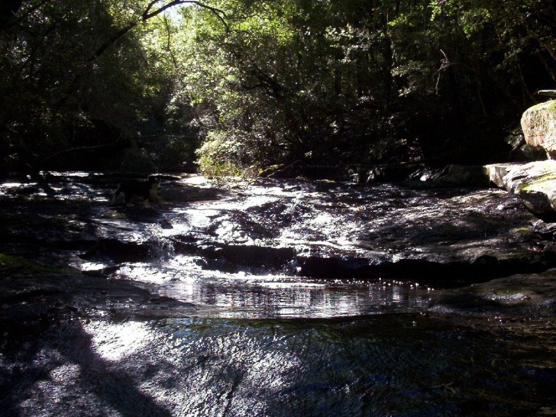 462 Ashby-Tullymorgan Road, Ashby NSW 2463