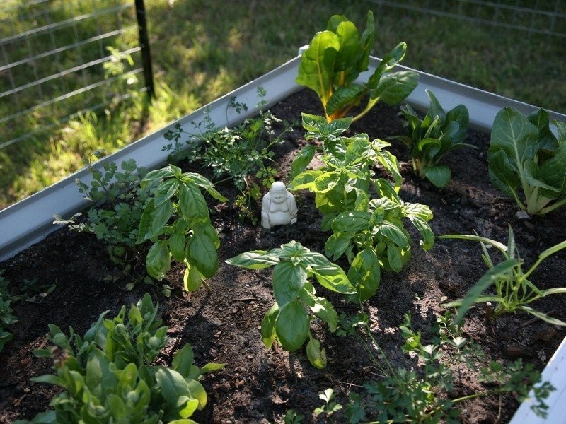 356 Green Pigeon Road, Kyogle NSW 2474