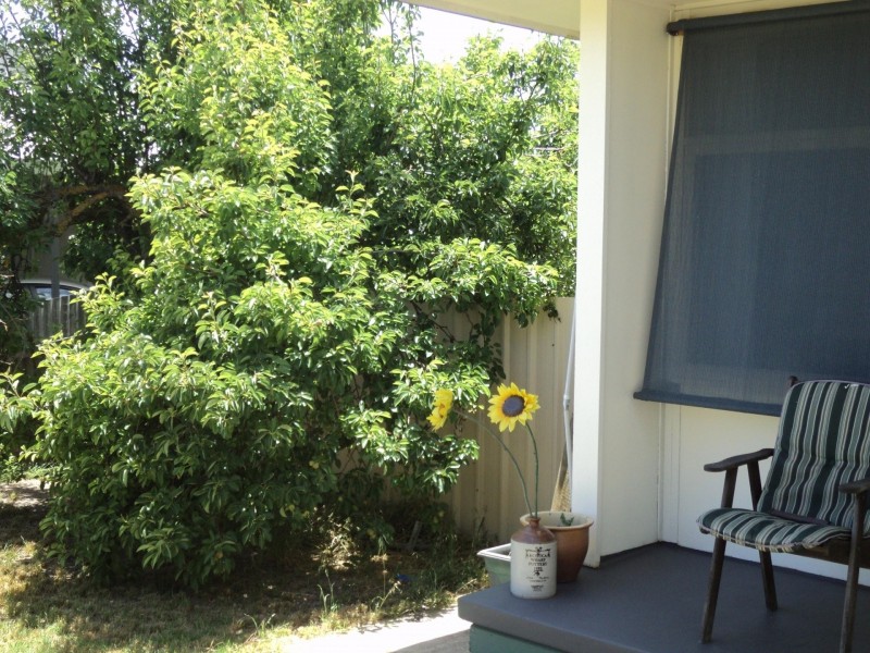 35 Peake Terrace, Coonalpyn SA 5265