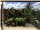Elimbah QLD 4516