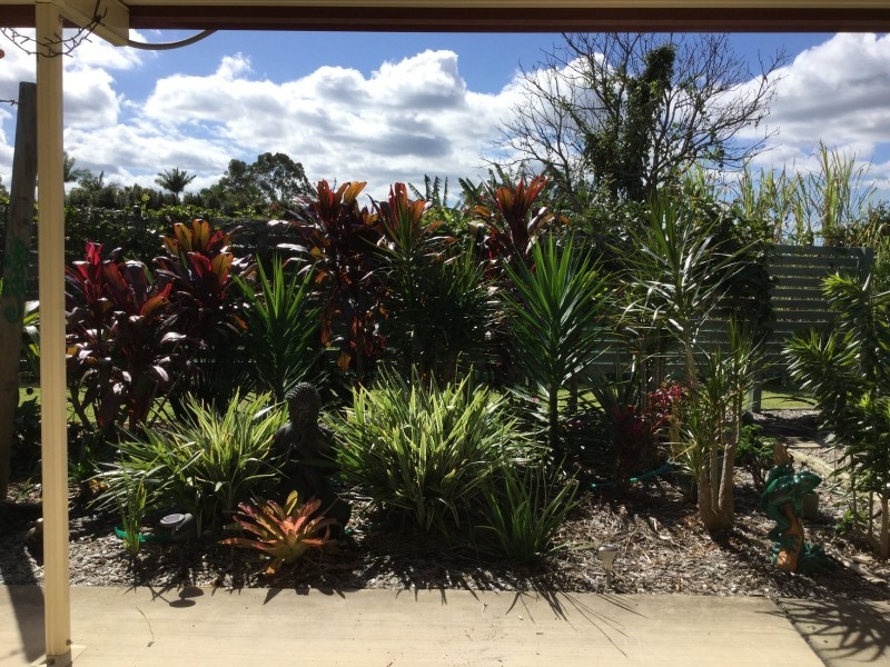Elimbah QLD 4516