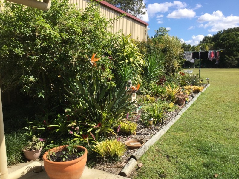 Elimbah QLD 4516