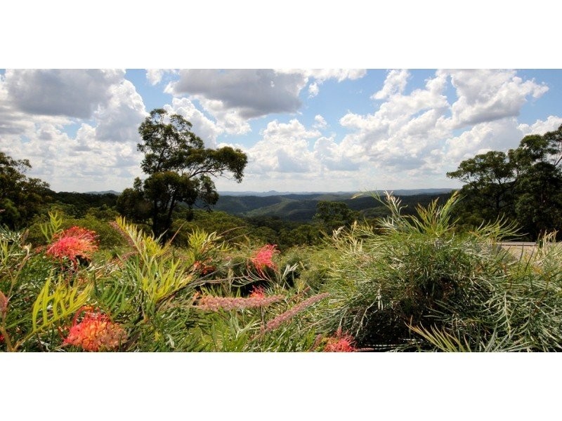 Wollombi NSW 2325