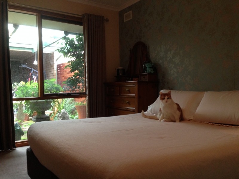 30 Samuel Court, Greenwith SA 5125