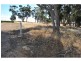 Lot 49 Mount Rufus Road, Hill River SA 5453