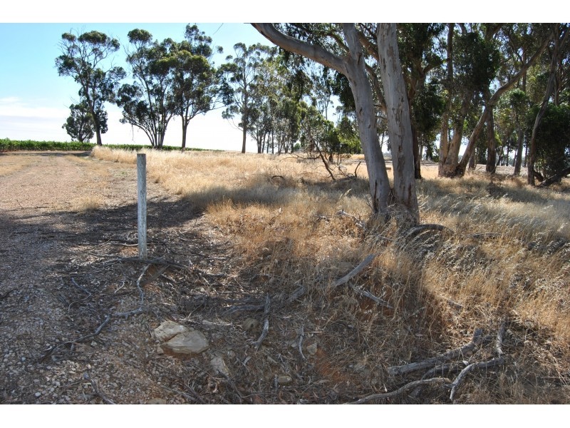 Lot 49 Mount Rufus Road, Hill River SA 5453