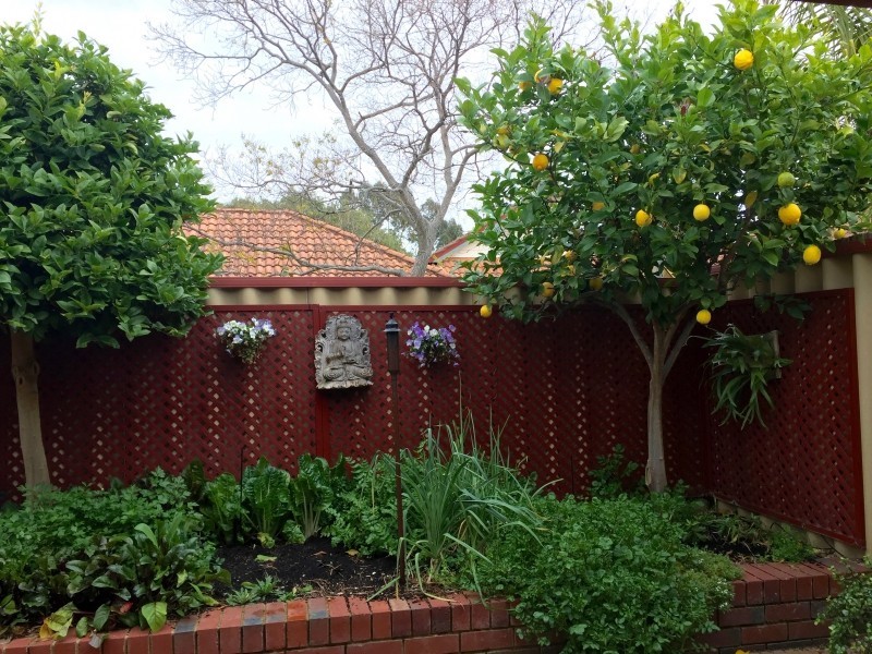 14 Plowman Circle, Maylands WA 6051