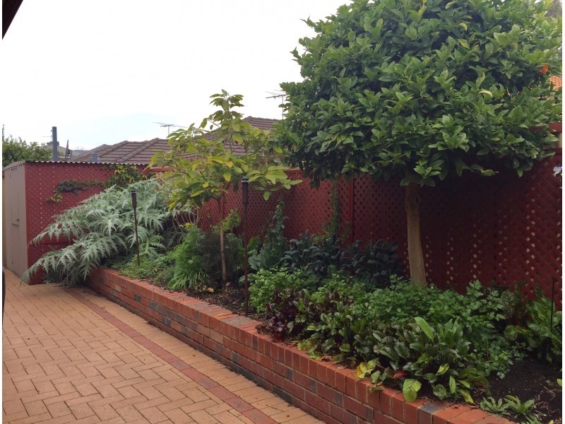 14 Plowman Circle, Maylands WA 6051