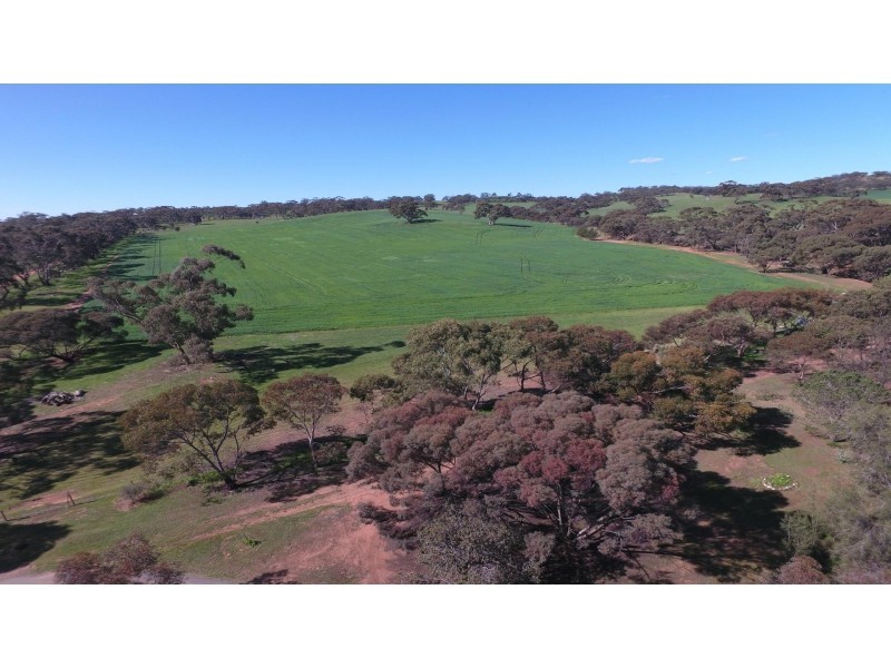 466 Old Anlaby Road, Kapunda SA 5373