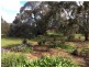 466 Old Anlaby Road, Kapunda SA 5373