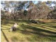 466 Old Anlaby Road, Kapunda SA 5373