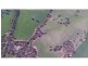 466 Old Anlaby Road, Kapunda SA 5373