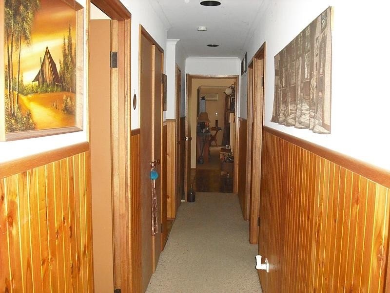 2019 Collombatti Road, Collombatti NSW 2440