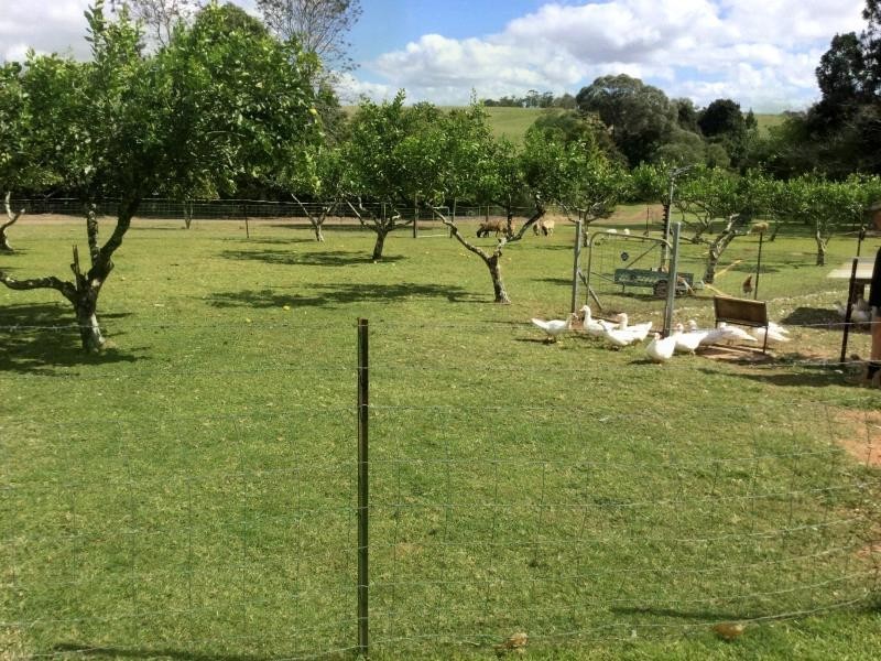 RN32 Riverlea Close, Malanda QLD 4885