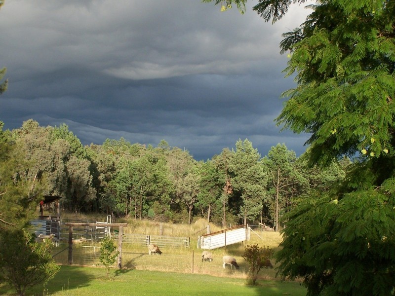 1081 Limestone Road, Ashford NSW 2361