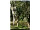 72 Arthur Stubbins Road, Kin Kin QLD 4571
