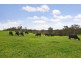 273 Greta Road, Kulnura NSW 2250