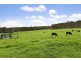 273 Greta Road, Kulnura NSW 2250