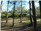 Nerang QLD 4211